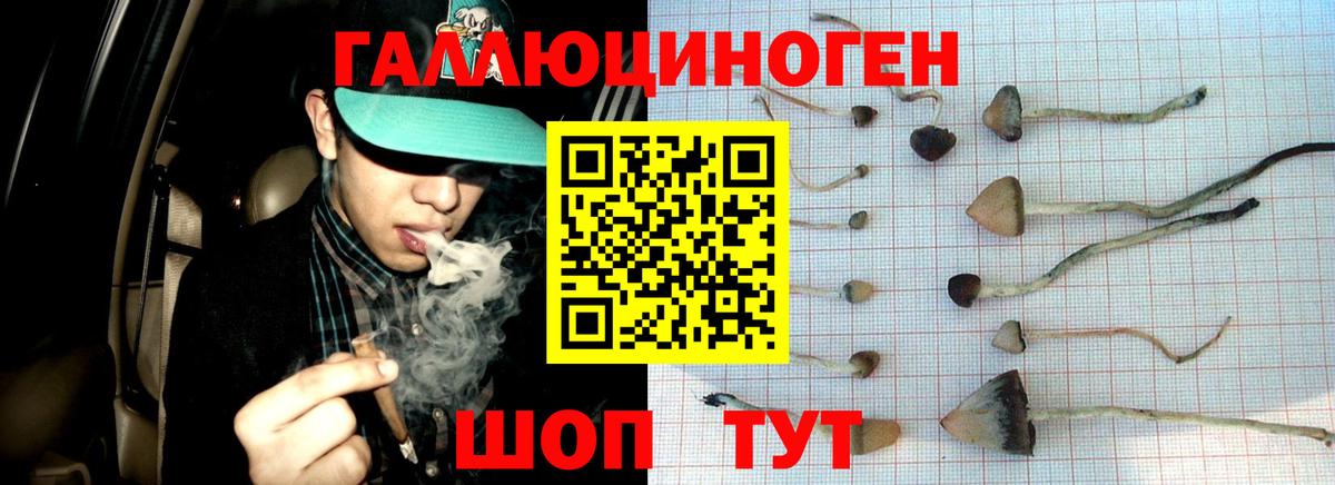 закладки  Псилоцибиновые грибы мицелий  Псилоцибиновые грибы мицелий  Вход с VPN  Чайковский 